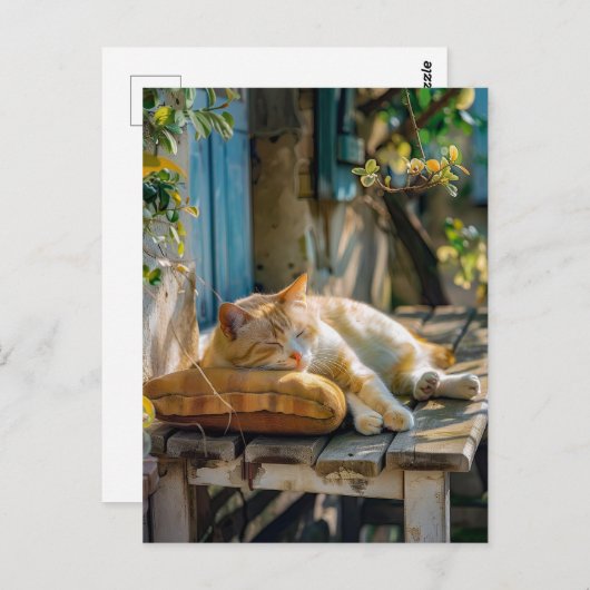 Cozy Cat Sleeping in Garden on Bench Postkarte (Vorne/Hinten)