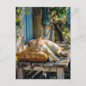 Cozy Cat Sleeping in Garden on Bench Postkarte (Vorderseite)