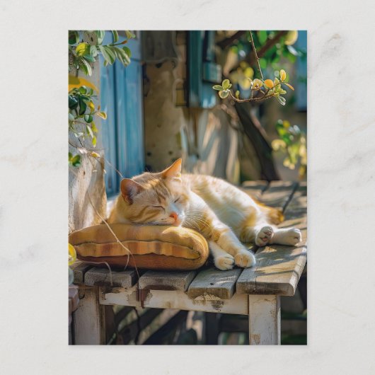 Cozy Cat Sleeping in Garden on Bench Postkarte (Vorderseite)