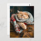 Cozy Cat Sleeping on a wooden box Postkarte (Vorne/Hinten)