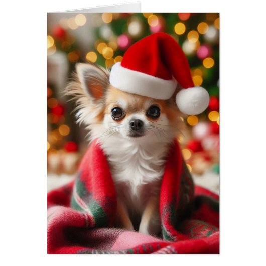 Cozy Chihuahua Weihnachtskarte (Vorne)