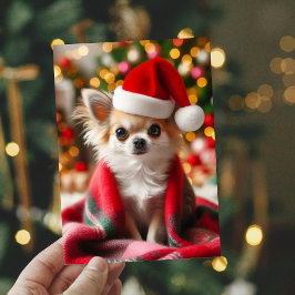 Cozy Chihuahua Weihnachtskarte