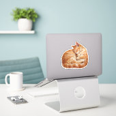 Cozy Companions Collection - Sleeping Cat Aufkleber (Laptop auf Schreibtisch)