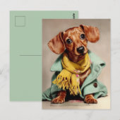 Cozy Dachshund Fashion Portrait Postkarte (Vorne/Hinten)