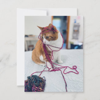 Cozy Orange Tabby Note Cards for Cat Lovers Mitteilungskarte