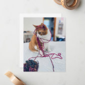Cozy Orange Tabby Note Cards for Cat Lovers Mitteilungskarte (Vorderseite/Rückseite Beispiel)