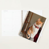Cozy Planner Small Tabby Cat Planner Planer (Anzeige)