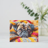 Cozy Pug Wrapped in Knitted Blanket Postkarte (Stehend Vorderseite)