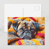 Cozy Pug Wrapped in Knitted Blanket Postkarte (Vorne/Hinten)