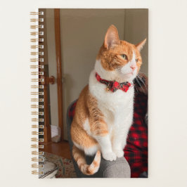 Cozy Tabby Cat Planner 8.5x11" Planer