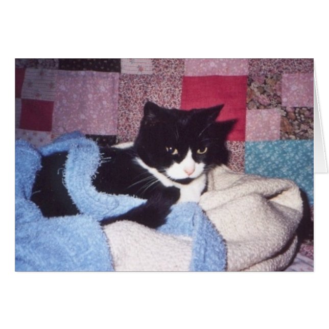 "Cozy Tiki" (Vorderseite (Horizontal))