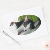 Cozy Tuxedo Cat Sticker (Umschlag)
