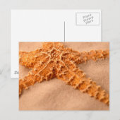 cp ion sand cl up postkarte (Vorne/Hinten)