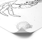 Crab Adult Coloring Poster (Ecke)