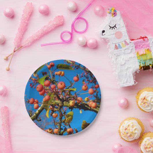 Crab Äpfel und Blue Sky Pappteller (Party)