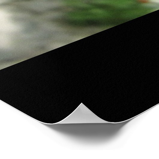 Crab Äpfel von Che Dean Poster (Ecke)