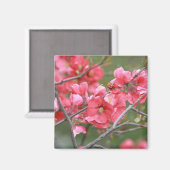 Crab Apple Bllossoms Magnet (Vorderseite/Rückseite)