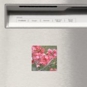 Crab Apple Bllossoms Magnet (In Situ (Geschirrspüler))