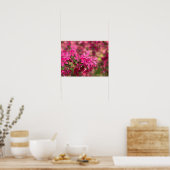 Crab Apple Blooms Poster (Küche)