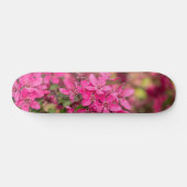 Crab Apple Blooms Skateboard (Horizontal)