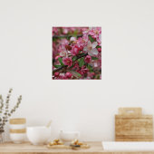 Crab Apple Blossoms Poster (Küche)