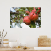 Crab Apple on Tree Poster (Küche)