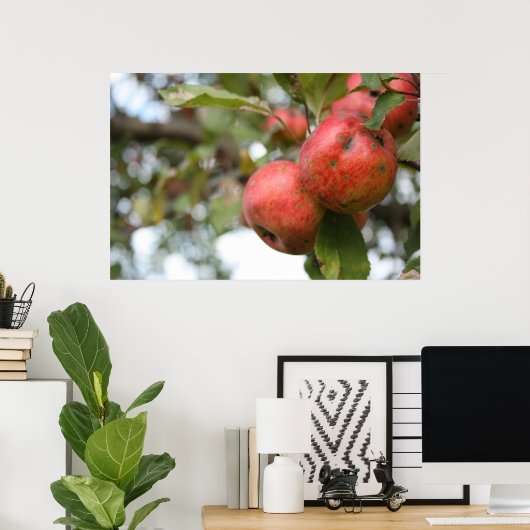 Crab Apple on Tree Poster (Heimbüro)