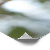 Crab Apple on Tree Poster (Ecke)