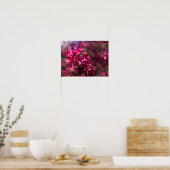 Crab Apple Shadows Poster (Küche)