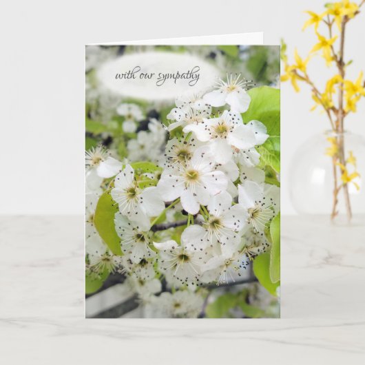 Crab Apple Tree Blossoms Beileid Karte (Gelbe Blume)