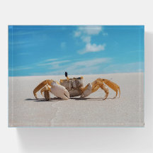Crab-Bild