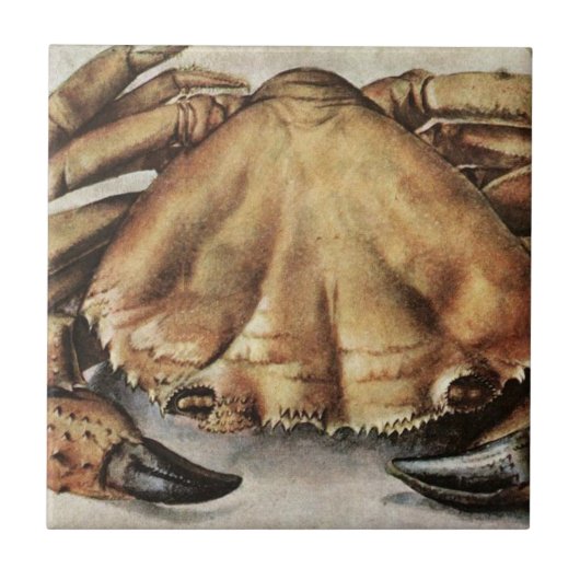 Crab (Creature Under the Sea) (by Albrecht Durer) Fliese (Vorderseite)