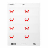 Crab Design Shipping (Vorne)