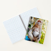 Crab-eating macaque notizblock (Innenseite)
