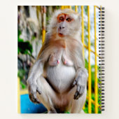 Crab-eating macaque notizblock (Rückseite)