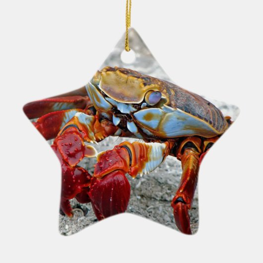 Crab-Foto Keramik Ornament (Vorne)