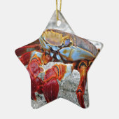 Crab-Foto Keramik Ornament (Links)