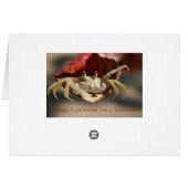 Crab in Red Leaf Grußkarte (Rückseite Horizontal)