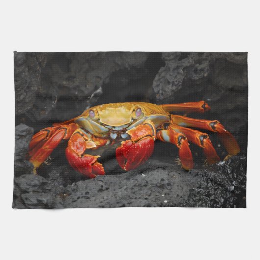 Crab Kitchen Handtücher (Horizontal)