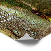 Crab Ladder Poster (Ecke)