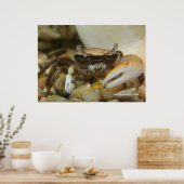Crab Louis Poster (Küche)