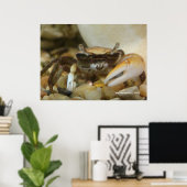 Crab Louis Poster (Heimbüro)