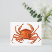 Crab Postcard - antike wissenschaftliche Illustrat Postkarte (Stehend Vorderseite)