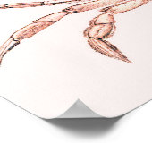 Crab Poster ~ Green Crab (Ecke)