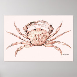 Crab Poster ~ Green Crab