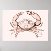 Crab Poster ~ Stone Crab (Vorne)