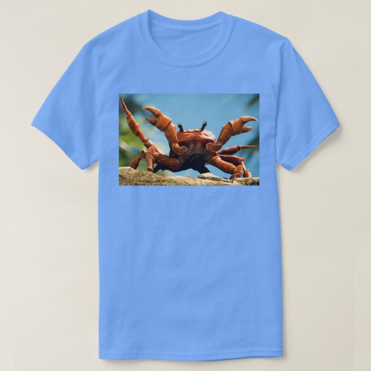 Crab-Rave T-Shirt (Design vorne)
