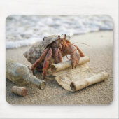 Crab Reading a Letter on a Beach Mousepad (Vorne)