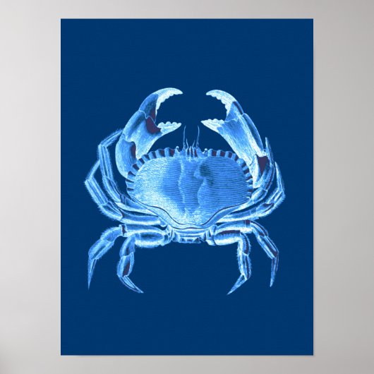 Crab Sea Life Print, Indigo Blue und White Poster (Vorne)