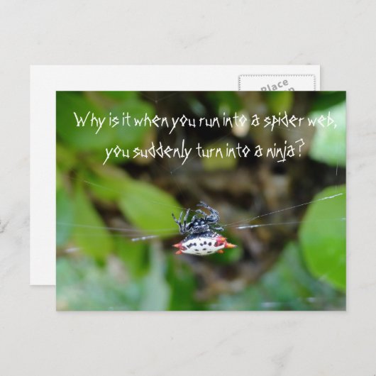Crab Spider Postcard / Funny Ninja Zitat Postkarte (Vorne/Hinten)